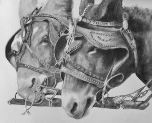 Mules in graphite pencil and charcoal