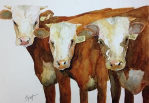 Cows in Watercolor
